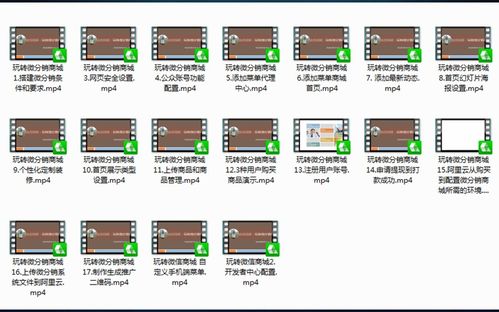 快速搭建你的企業微信商城 接入第3方系統,17集