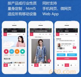 b2c商城系統(tǒng)定制 高端商城網(wǎng)站建設(shè)自適應(yīng)商城購物一條龍全包pc站 手機(jī)站 微信站
