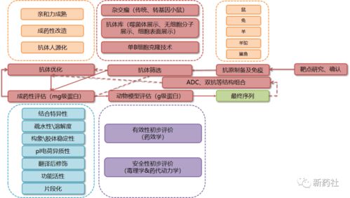 史上最全藥品研發(fā)全流程圖總結(jié)